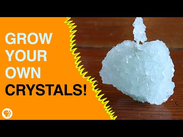 Grow Your Own Crystals!
