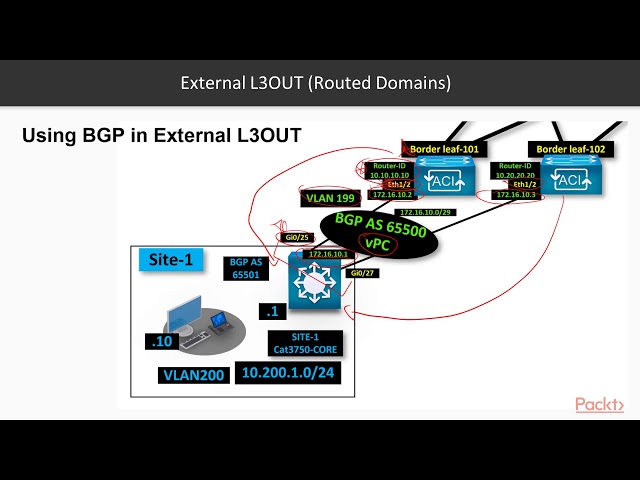 Learning Cisco Application-Centric Infrastructure: External L3OUT with BGP | packtpub.com