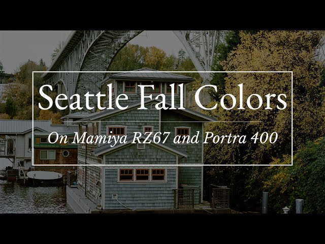 Seattle Fall Colors on Mamiya RZ67 with Kodak Portra 400