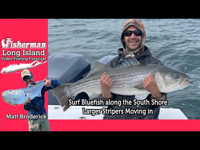 May 16th 2024 Long Island Metro Fishing Report with Matthew Broderick