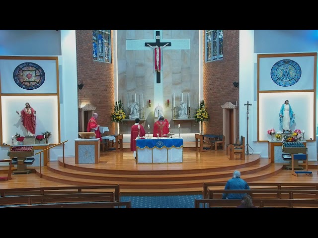 Catholic Mass for 7th week of Ordinary Time - 21 May 2024 - 8am