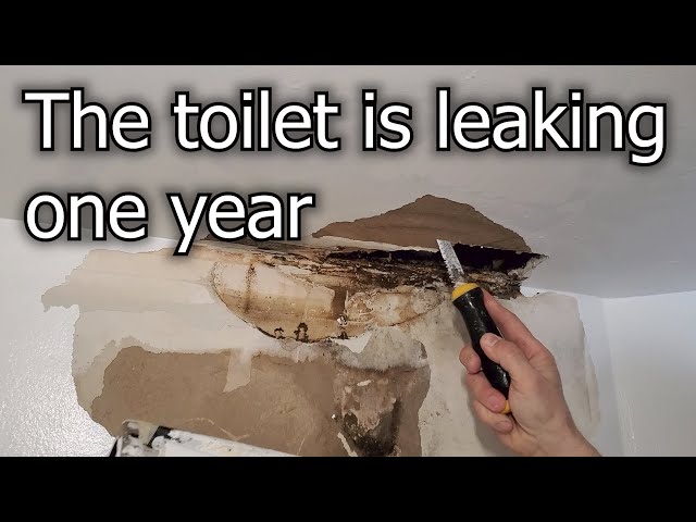 Toilet Leakage, Sheetrok Water Damage and Mold