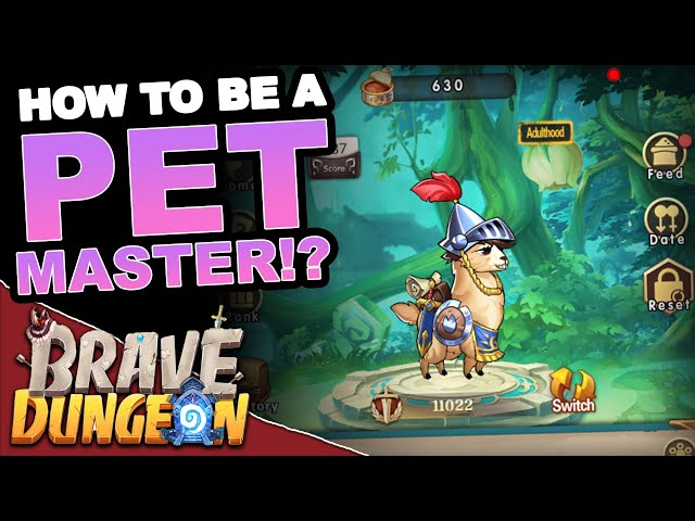 DONT Sleep on Pets!! *GUIDE*  - Brave Dungeon