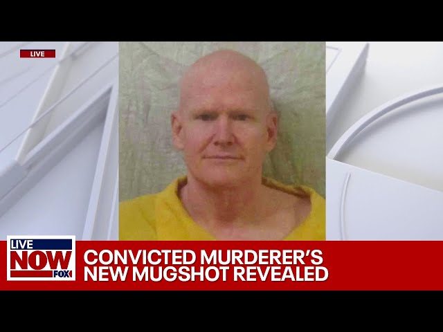 Alex Murdaugh new mugshot: Department of Corrections releases new photo | LiveNOW from FOX