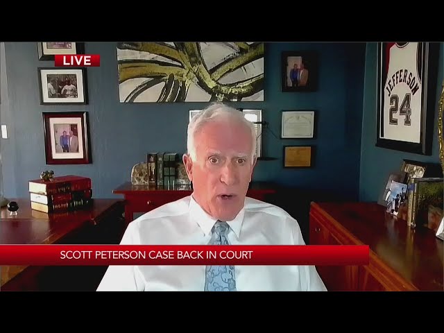 Legal expert weighs in on Scott Peterson case