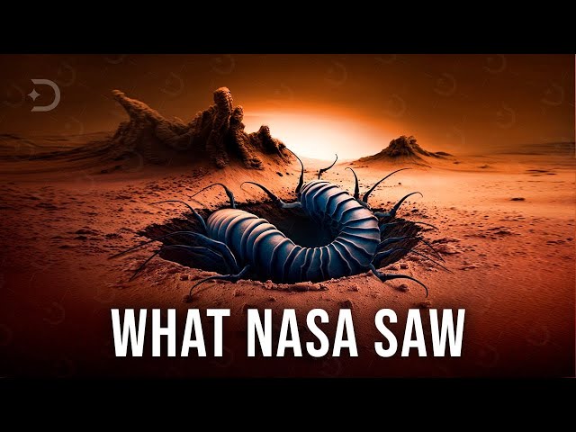 You won’t believe what NASA found on Mars