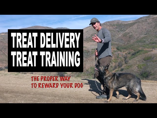 Treat Training Your Dog - How to Reward with Treats and not get BIT - Robert Cabral Dog Training
