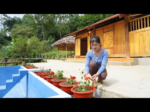 Plant Flowers To Decorate The Swimming Pool, BUILD OFF GRID FARM - My Bushcraft / Nhất