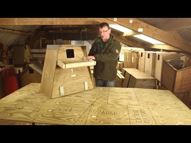 How to Build a Barn Owl Nestbox for a Tree