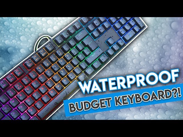 This Budget RGB Keyboard is... WATERPROOF?! [Cooler Master Masterkeys Lite L Combo Review!]