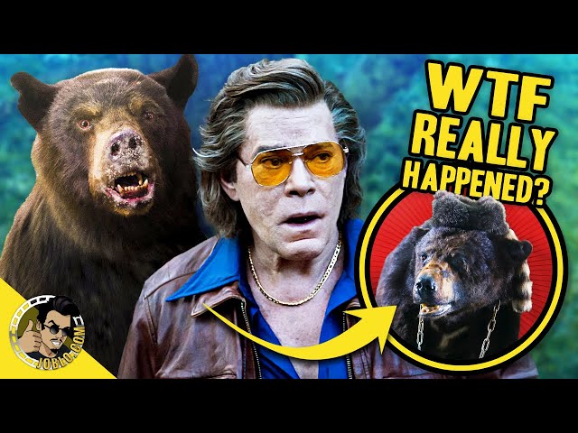 WTF Really Happened to Cocaine Bear?