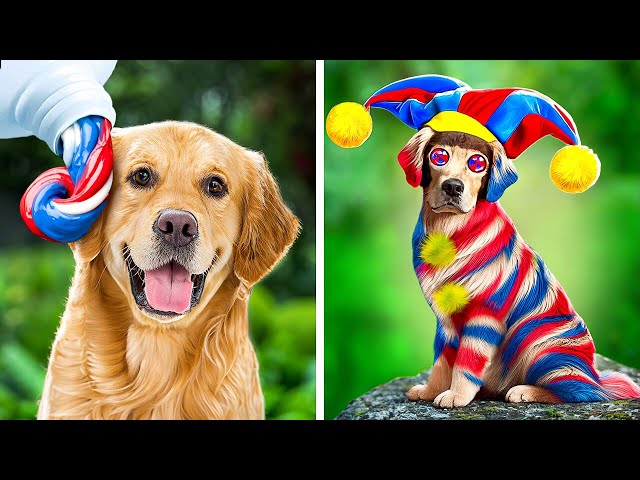Crazy Pet Makeover 😱🐶 OMG! We Transformed A Stray Dog Into Pomni 🤡