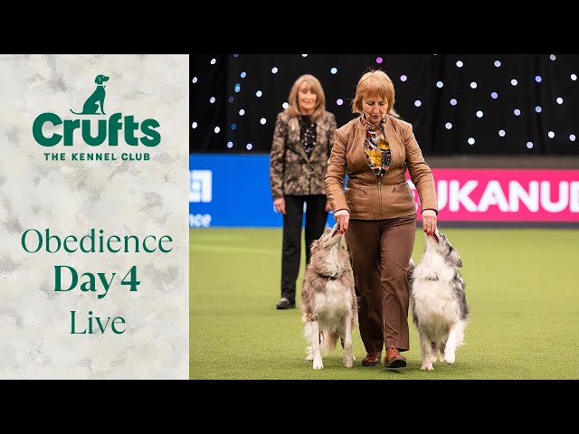 Obedience Day 4 LIVE | Bitch Obedience Championship | Crufts 2024
