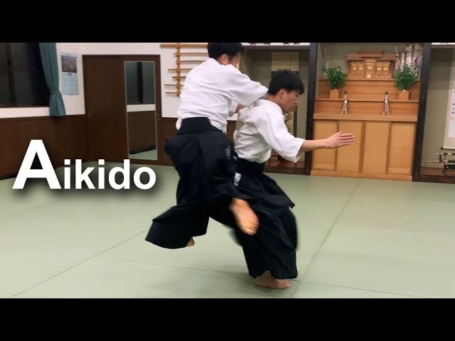 Aikido ‐ High speed throw with relax
