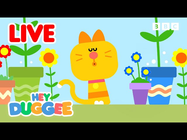 🔴LIVE: Enid's FAVOURITE Duggee Moments 🐱 | Hey Duggee