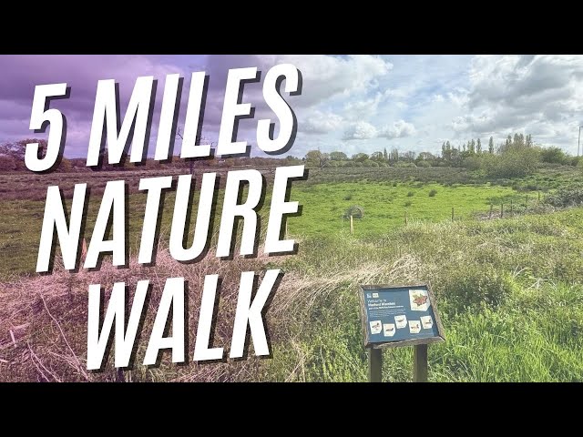 A Walk Along Marsh Barton Estate and Riverside Nature walk