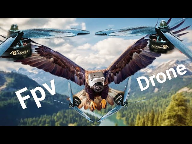 Flight of an Eagle, Fpv Drone