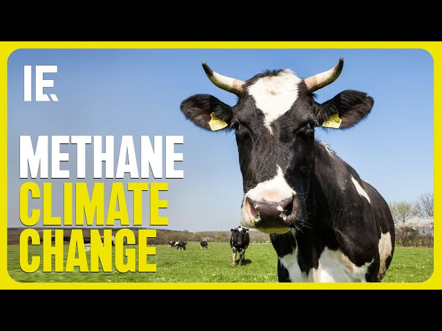 Tackling the Methane Climate Change Equation