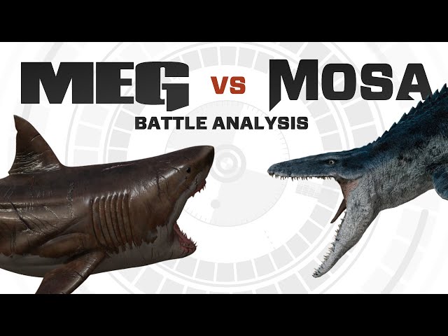 The MEG vs InGen's Mosasaurus | Battle FACEOFF Analysis