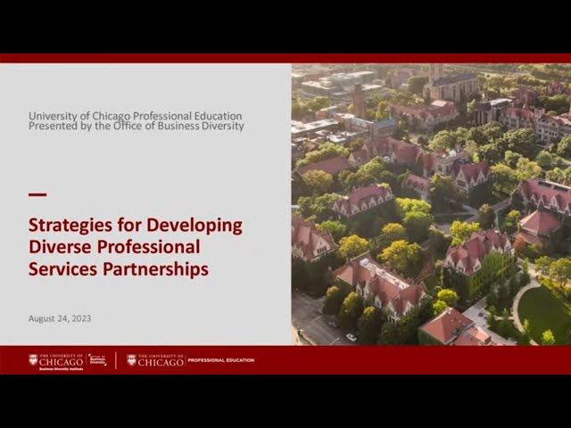 Business Diversity Institute: Strategies for Developing Diverse Professional Services Opportunities