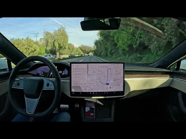Tesla FSD 12.3.6 Drives to Conroy's Flowers Torrance with Zero Interventions