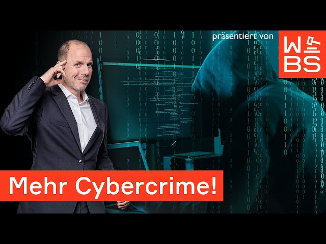 Cybercrime-Alarm! Neue BKA-Studie zeigt: Online-Kriminalität steigt massiv | Christian Solmecke