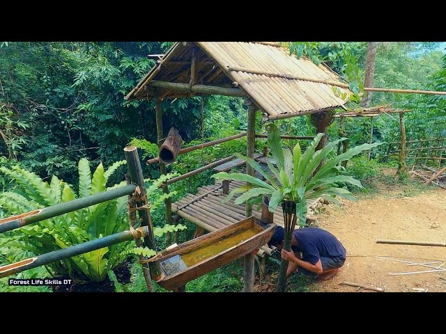 Build and upgrade shelters, water pipe, fish pond |Ep. 167
