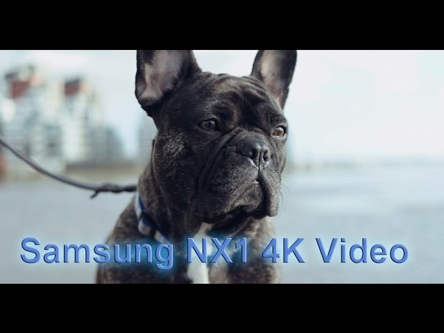 Spring Starts - A Samsung NX1 4K Video Test - 30mm f2.0