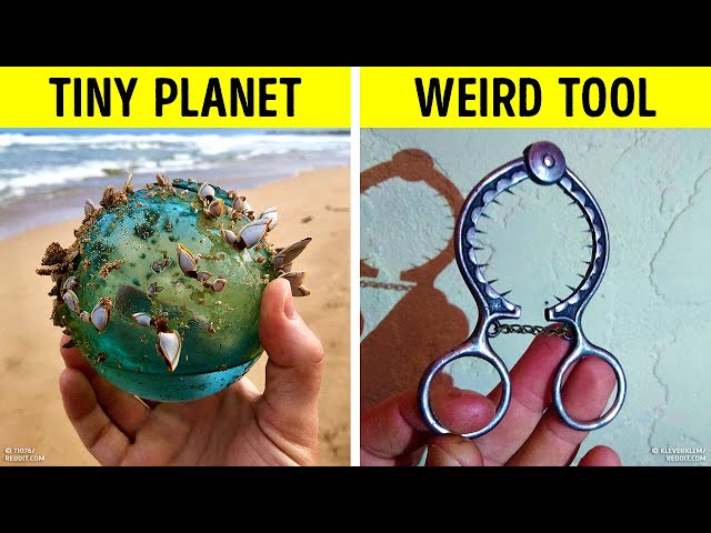 These People Just Couldn't Resist Sharing Their Insane Finds