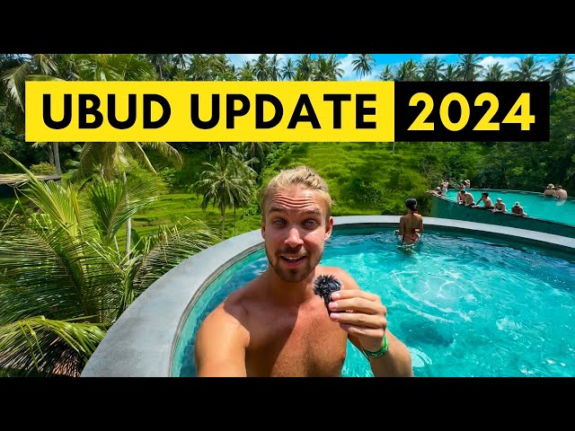 How is UBUD, BALI Now in 2024? (+ travel guide)