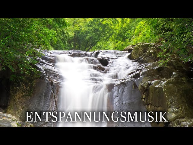 Zustand der Entspannung zu geleiten - Entspannungsmusik Natur mit Wald und Wasser