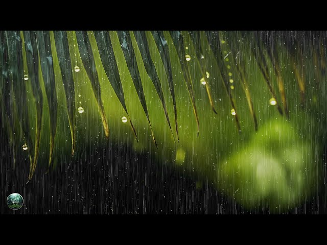 Beautiful Relaxing Music for Stress Relief ~ Calming Rain Sound, Meditation, Relaxation, Sleep, Spa