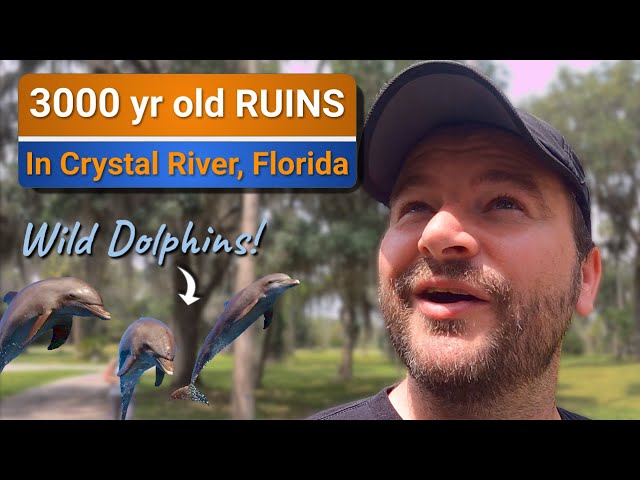 Wild DOLPHINS and 3000 year old remains at Crystal River, Florida!