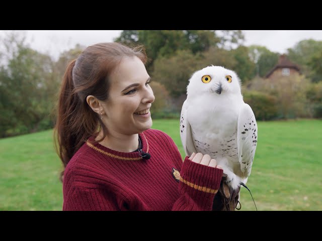 Meeting, Feeding & Flying Owls | Care of Magical Creatures