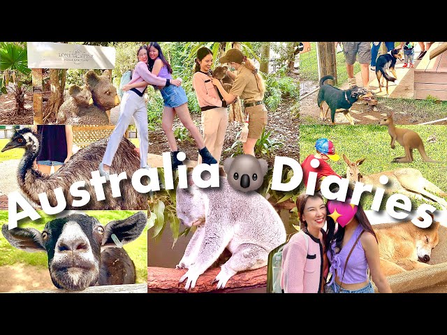 🇦🇺Australia♡Diaries 7 ꔛ Trip to Lone Pine Koala Sanctuary-Holding Koala-Scape south bank-Brisbane