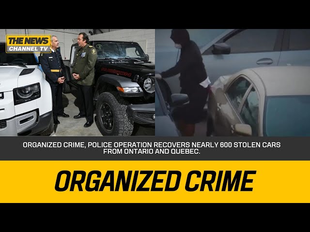 Organized Crime, Police operation recovers nearly 600 stolen cars from Ontario and Quebec.