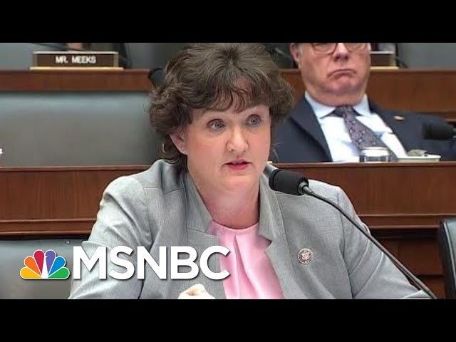 Coupon-Cutting Congresswoman Stumps Big Bank CEO | The Last Word | MSNBC