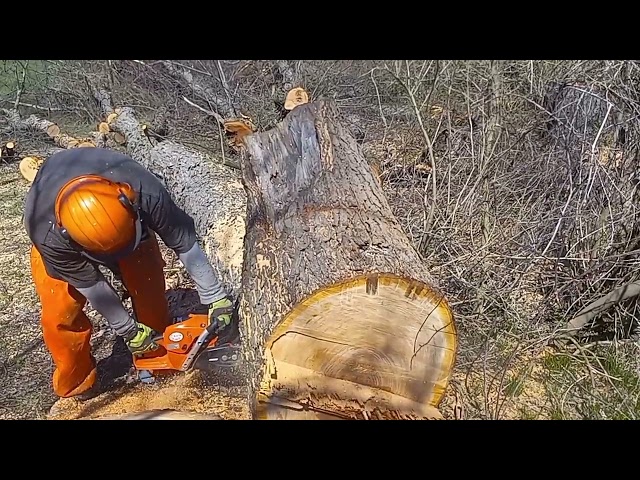 ported chainsaws