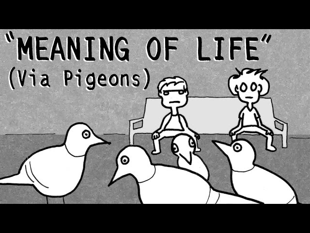 "MEANING OF LIFE" (Via Pigeons) Tales Of Mere Existence