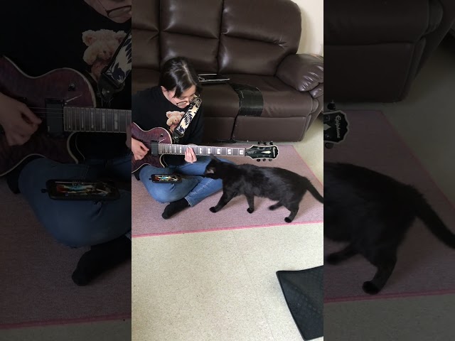 Guitar Practice withe a kitty around 猫の前でギター練習してみた