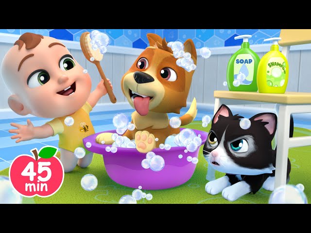 Bingo Pet Store +More Lalafun Nursery Rhymes & Kids Songs