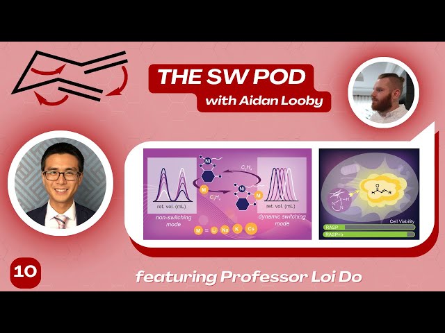 The SW Pod: Professor Loi Do