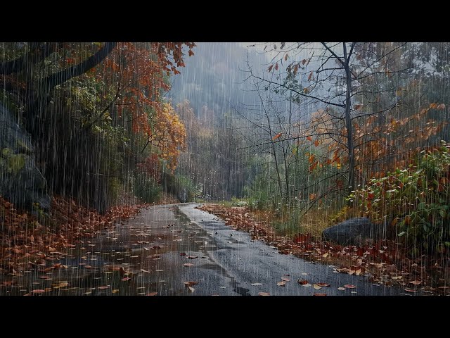 Autumn Rain Symphony: A Journey Down the Forest Path