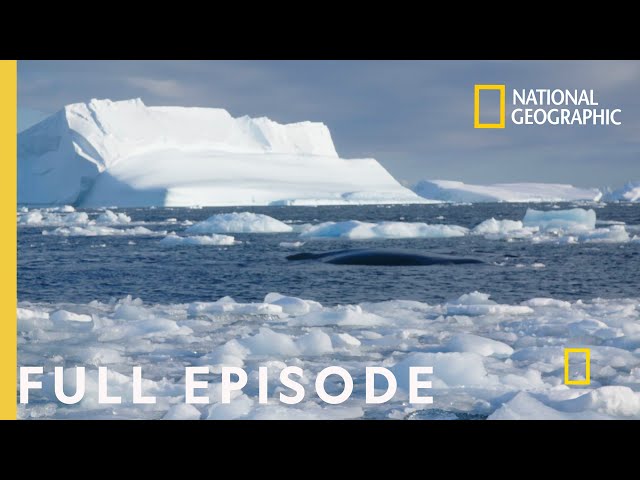 Storming Antarctica (Full Episode) | Continent 7: Antarctica