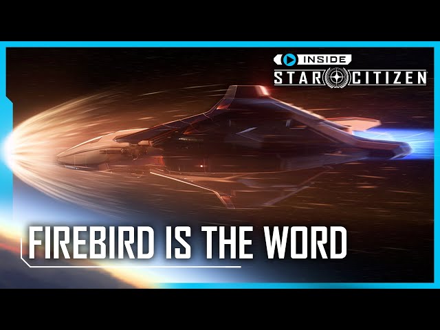 Inside Star Citizen: Firebird Is The Word