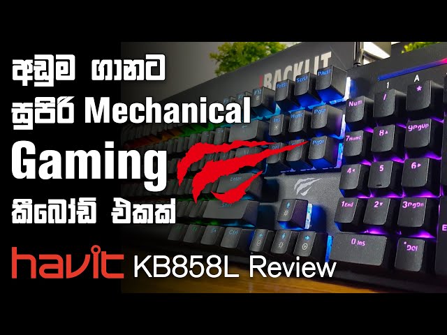 Best Budget Mechanical Gaming Keyboard Havit KB858L Full Review Sinhala