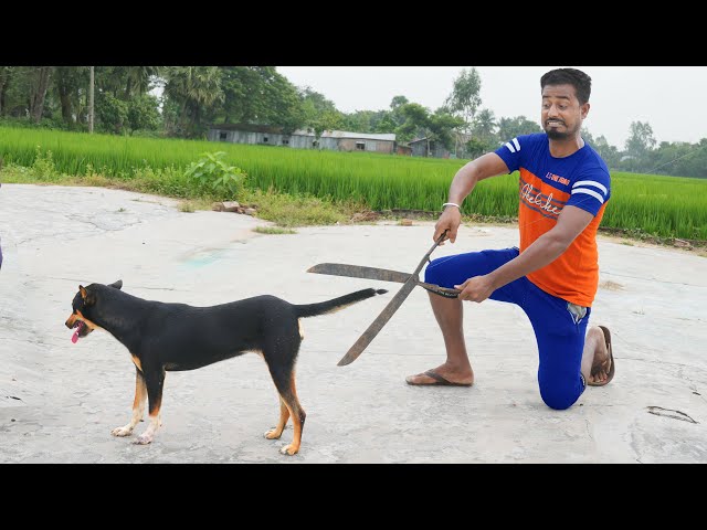 Top New Trending Funny Video 2022 😂Totally Viral Comedy Video Episode 36 By Maha Fun Tv