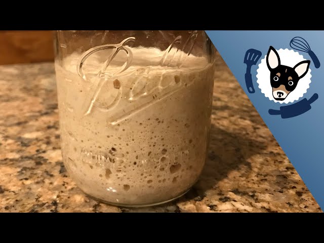 How to Make Yeast with Less Flour for Beginners