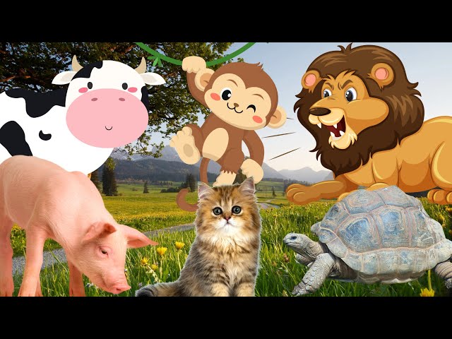 The most mischievous animals: monkeys, cats, lions, cows, dogs,...