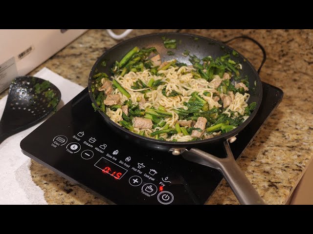 Testing a Portable Induction Cooktop From Temu!